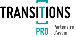 logo transitions pro